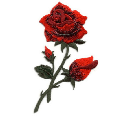 rose patch